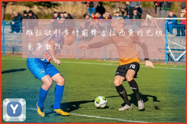 维拉欲引多特前锋吉拉西费内巴切竞争激烈