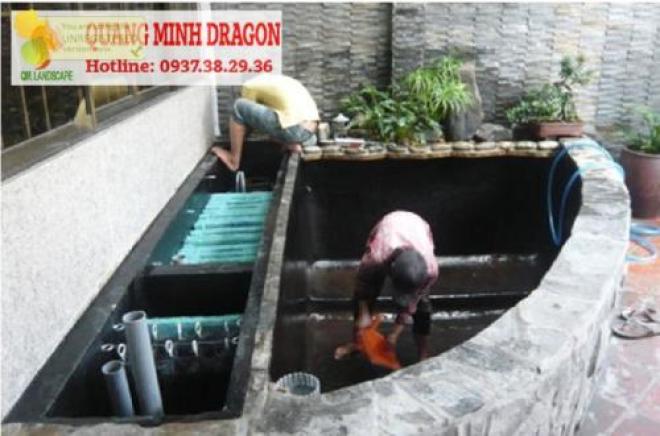 Dịch vụ vệ sinh chăm sóc hồ cá Koi trọn gói ở Hồ Chí Minh