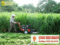 Nhận cắt cỏ trọn gói giá rẻ nhất Hồ Chí Minh