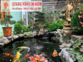 Thiết kế hồ cá koi sân vườn ngoài trời ở Hồ Chí Minh