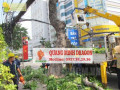 Dịch vụ chặt cắt tỉa cây xanh, đốn hạ cây ở Đồng Nai