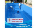 Sửa chữa chống thấm hồ cá Koi - dịch vụ vệ sinh hồ cá Koi