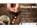Bán đất màu trồng cây - đất trồng rau giá rẻ nhất Hồ Chí Minh 0937382936