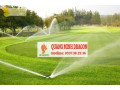 Dịch vụ trồng cỏ sân vườn- cỏ nhung cỏ lá gừng 0937382936