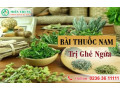 Cách trị ghẻ ngứa bằng thuốc nam hiệu quả