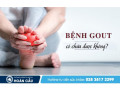 Kiểm soát bệnh Gout tại nhà - Đa khoa Hoàn Cầu