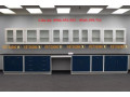 Chuyên tư vấn thiết kế lắp đặt Kệ treo tường PTN – Tủ treo tường phòng thí nghiệm