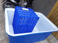 Bán thùng nhựa nuôi cá 200l - Thùng nhựa tròn nuôi cá tại gò vấp 094 779 7507 Lan