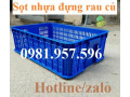 sọt nhựa, sóng nhựa hở, sọt nhựa nguyên sinh chất lượng cao