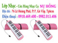 Chỗ bán kèn phím ( melodica, melodion, pianica ) 32 phím và 37 phím tại gò vấp, tphcm, sài gòn