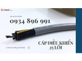 Cáp Tín Hiệu 25X 1.0 mm2 Dùng Trong Hệ Thống Điều Khiển Hải Phòng, Hà Nội