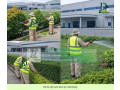 Dịch vụ chăm sóc cây xanh cắt cỏ cắt tỉa cảnh quan định kỳ tại Đồng Nai