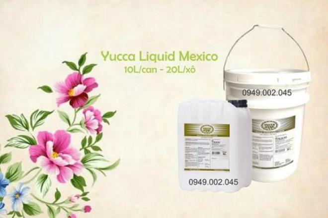 Yucca Star Liquid - Nguyên liệu Yucca nước nhập khẩu Mexico