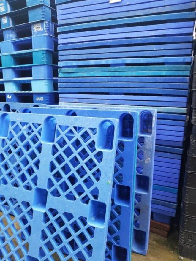 Cung cấp pallet cốc bền bỉ giá rẻ 0375292538 Cung cấp pallet cốc bền bỉ giá rẻ 0375292538