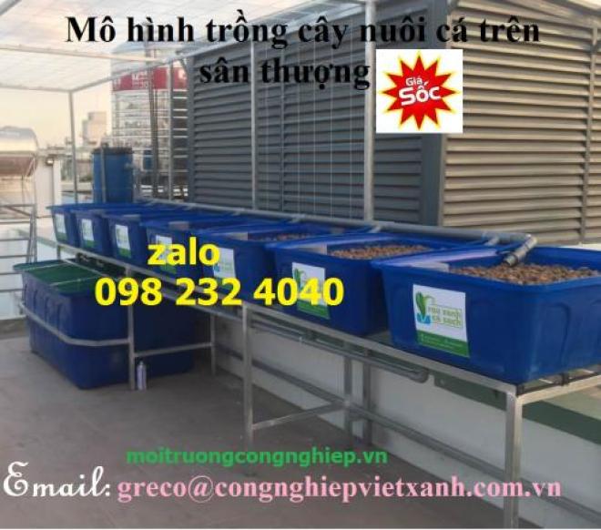 Thùng nhựa 750L nuôi tôm giống công nghệ cao Thùng nhựa 750L nuôi tôm giống công nghệ cao