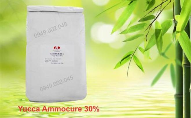 Yucca Ammocure 30 - Yucca nguyên liệu Mỹ hấp thu khí độc ao nuôi tôm cá Yucca Ammocure 30 - Yucca nguyên liệu Mỹ hấp thu khí độc ao nuôi tôm cá