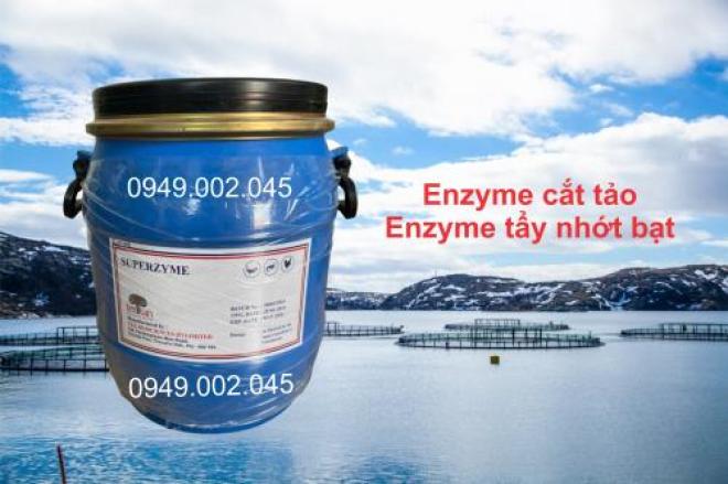 Superzyme - Enzyme cắt tảo, xử lý nước ao nuôi tôm cá