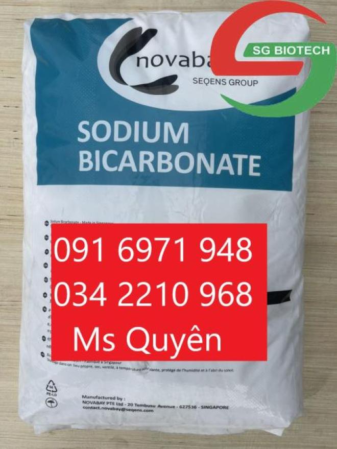 Mua bán sodium bicarbonate 99% NaHCO3 soda nguyên liệu Pháp giá sỉ