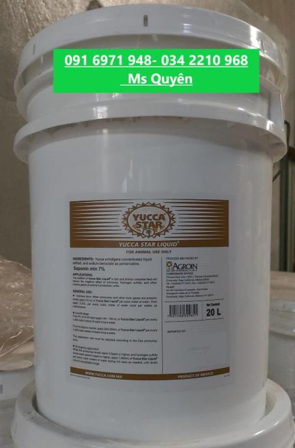 Cung cấp yucca Mexico nguyên liệu dạng bột, nước chính hãng Cung cấp yucca Mexico nguyên liệu dạng bột, nước chính hãng
