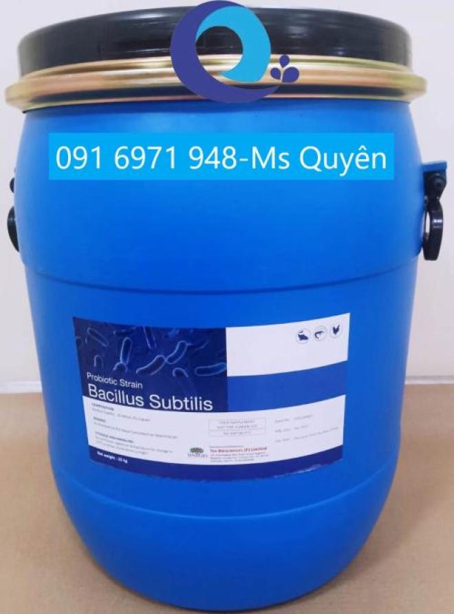 Men vi sinh Bacillus subtilis 10 tỷ CFU/g hàng Ấn Độ