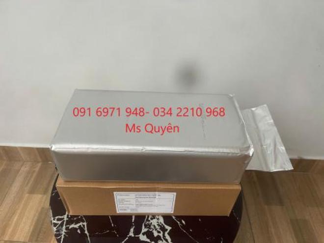 Nấm men đơn bào Active dry yeast (Saccharomyces boulardii) Nấm men đơn bào Active dry yeast (Saccharomyces boulardii)