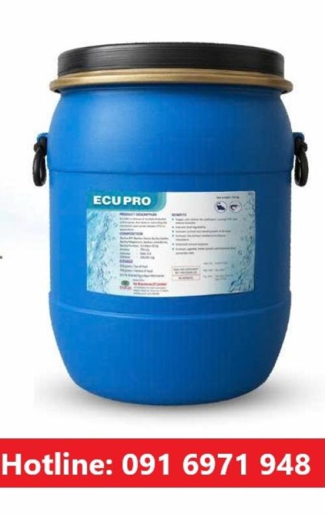 ECUPRO phòng bệnh tôm trong suốt, mờ gan tụy