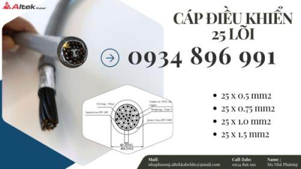 Cáp Tín Hiệu 25X 1.0 mm2 Dùng Trong Hệ Thống Điều Khiển Hải Phòng, Hà Nội Cáp Tín Hiệu 25X 1.0 mm2 Dùng Trong Hệ Thống Điều Khiển Hải Phòng, Hà Nội