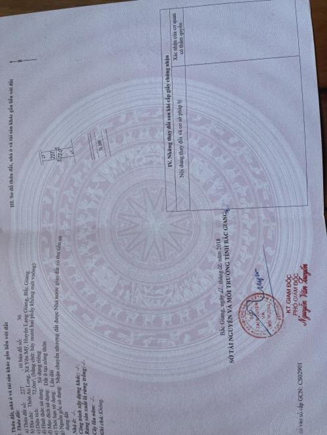 CHÍNH CHỦ BÁN 2 LÔ ĐẤT THỔ CƯ LIỀN NHAU MẶT TIỀN 9M CHÍNH CHỦ BÁN 2 LÔ ĐẤT THỔ CƯ LIỀN NHAU MẶT TIỀN 9M