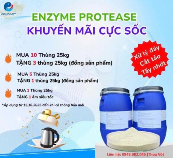 HABIO PROTEASE – Enzyme Cắt Tảo, Xử Lý Nước Ao Tôm Cá Hiệu Quả HABIO PROTEASE – Enzyme Cắt Tảo, Xử Lý Nước Ao Tôm Cá Hiệu Quả