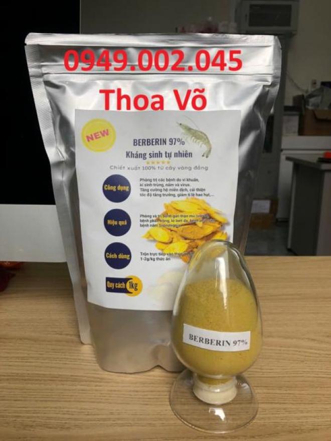 Vàng Đắng Berberin 97 phần trăm trị phân lỏng và ức chế vi khuẩn cho tôm cá