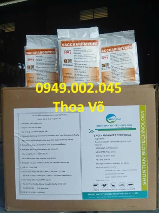 SACCHAROMYCES CEREVISIAE – Men Tiêu Hóa Đậm Đặc, Phòng Bệnh Phân Trắng Cho Tôm Cá