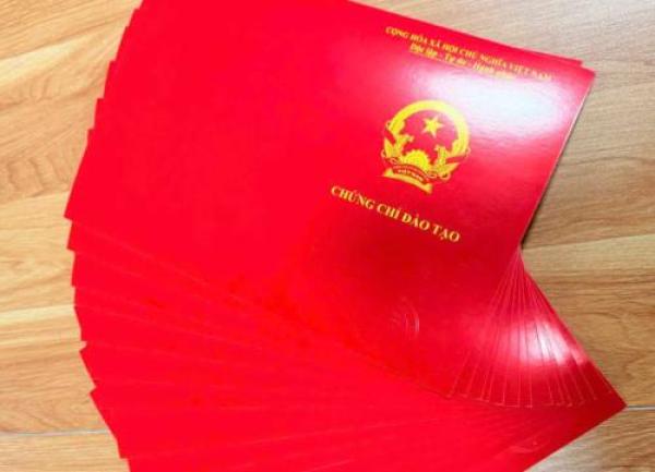 Đào tạo chăm sóc mẹ và bé chuyên nghiệp