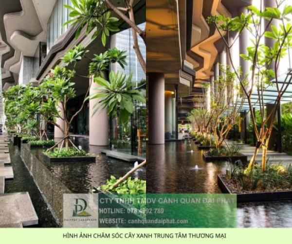 CHĂM SÓC CÂY XANH TRUNG TÂM THƯƠNG MẠI