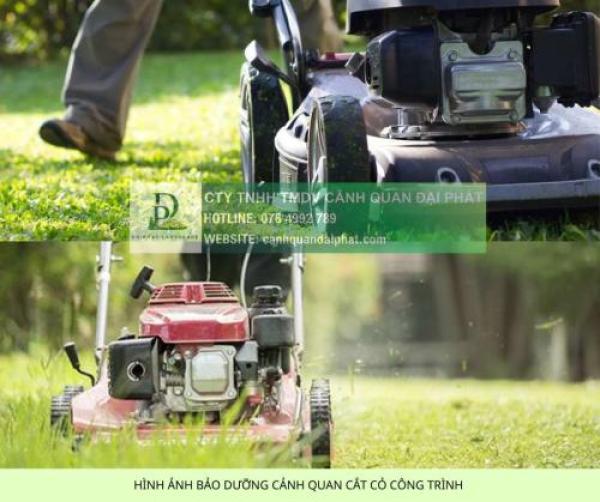 Dịch vụ cắt cỏ & vệ sinh thảm cỏ khu công nghệ cao TPHCM