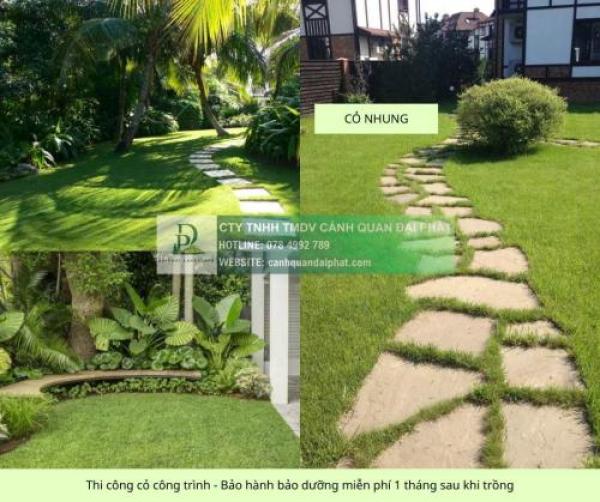 Thi công cây xanh – thảm cỏ công trình tại Đồng Nai, Bình Dương, TPHCM, Vũng Tàu,...