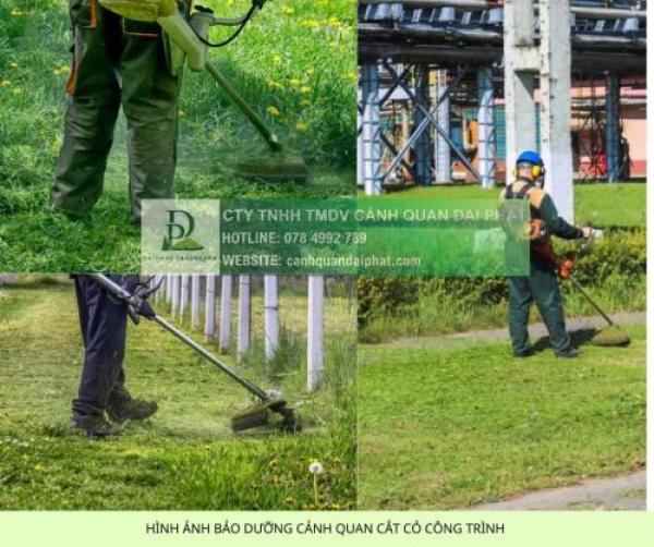 Báo giá cho thuê nhân công chăm sóc cây xanh mới nhất 2026