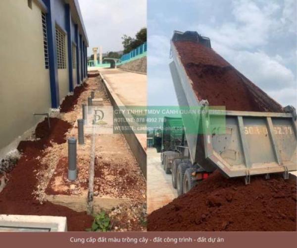 Cung cấp đất trồng cây công trình Đồng Nai TPHCM 2026