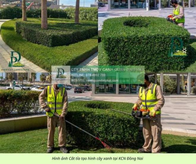 Dịch vụ bảo dưỡng cảnh quan KCN Long Đức - Long Thành, Đồng Nai