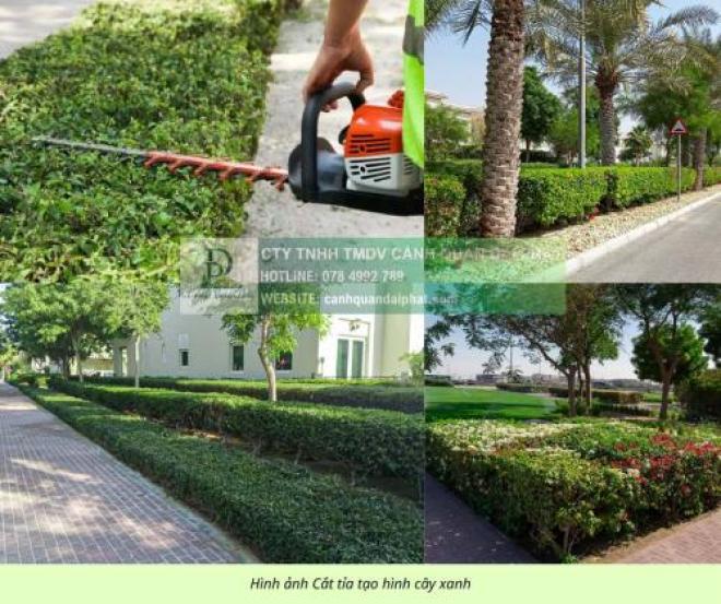 Đội ngũ Chăm sóc cảnh quan định kỳ Nhà máy Đồng Nai Chuyên nghiệp Đội ngũ Chăm sóc cảnh quan định kỳ Nhà máy Đồng Nai Chuyên nghiệp