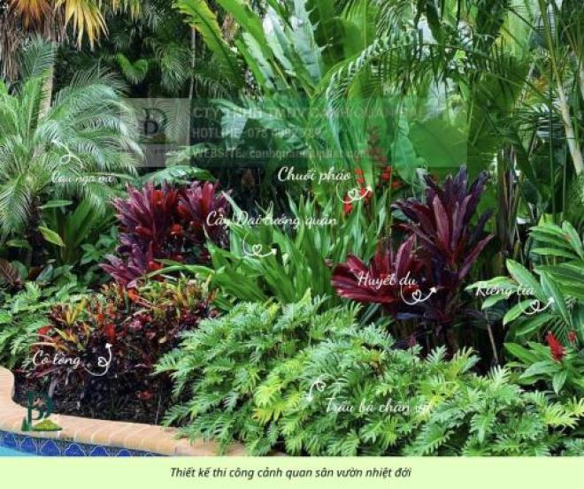 Thiết kế thi công cảnh quan sân vườn mới nhất 2026