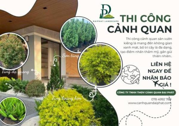 Thiết kế thi công tiểu cảnh sân vườn kiểng lá TPHCM, Đồng Nai 2026