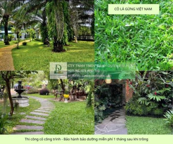Thi công cây xanh thảm cỏ công trình Đồng Nai, Bình Dương, TPHCM,...