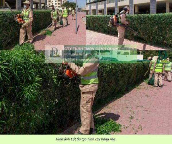 Cắt Tỉa Tạo Hình Cây Xanh Đồng Nai Cắt Tỉa Tạo Hình Cây Xanh Đồng Nai