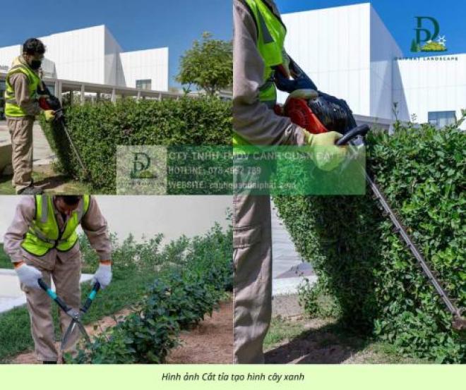 Cắt Tỉa Tạo Hình Cây Xanh Đồng Nai Cắt Tỉa Tạo Hình Cây Xanh Đồng Nai