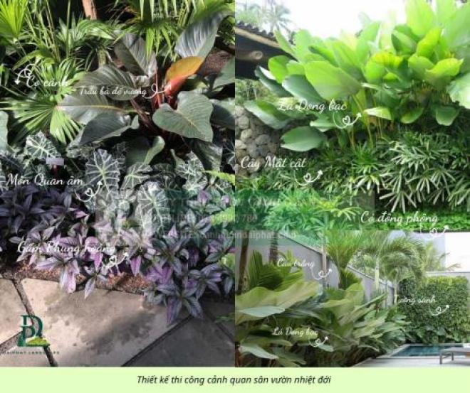 Thiết Kế Thi Công Cảnh Quan Sân Vườn Nhiệt Đới 2026 Thiết Kế Thi Công Cảnh Quan Sân Vườn Nhiệt Đới 2026