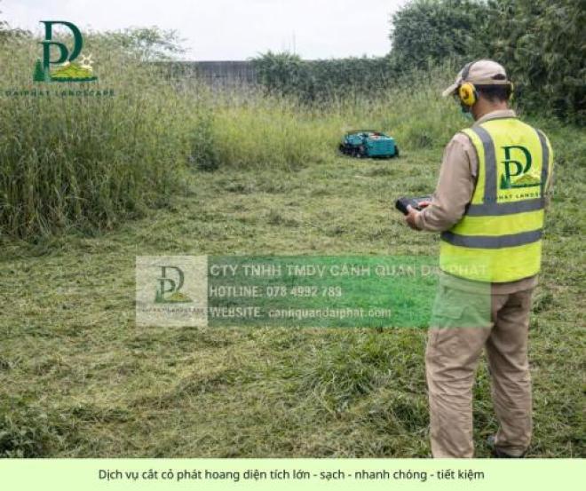 Dịch vụ cắt cỏ phát hoang diện tích lớn giá cạnh tranh miền Nam